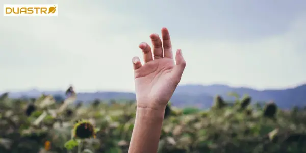 Hand Reading for Health - Physical Well-being Insights
